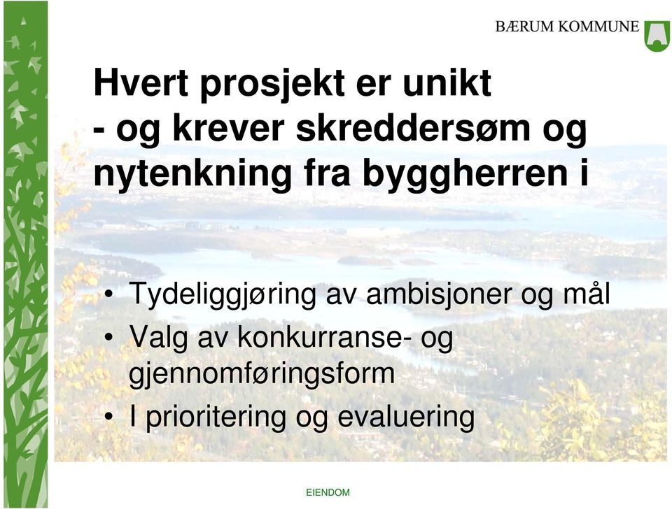 Tydeliggjøring av ambisjoner og mål Valg av