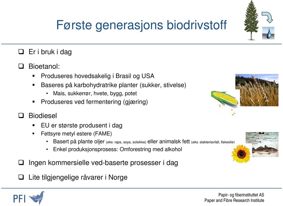 produsent i dag Fettsyre metyl estere (FAME) Basert på plante oljer (eks. raps, soya, solsikke) eller animalsk fett (eks.