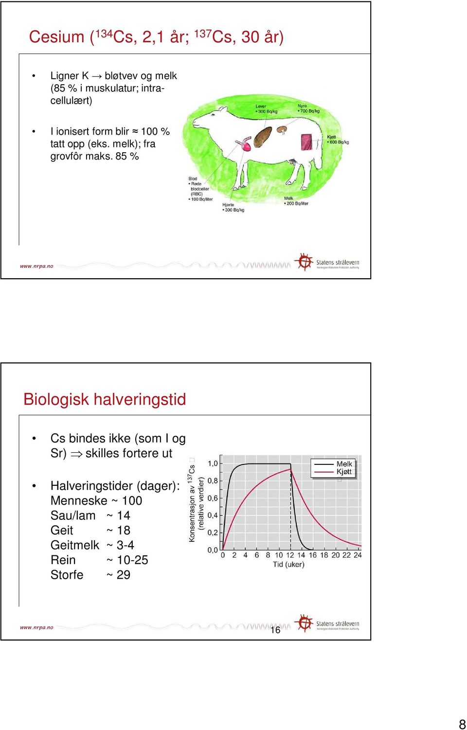 85 % Biologisk halveringstid Cs bindes ikke (som I og Sr) skilles fortere ut