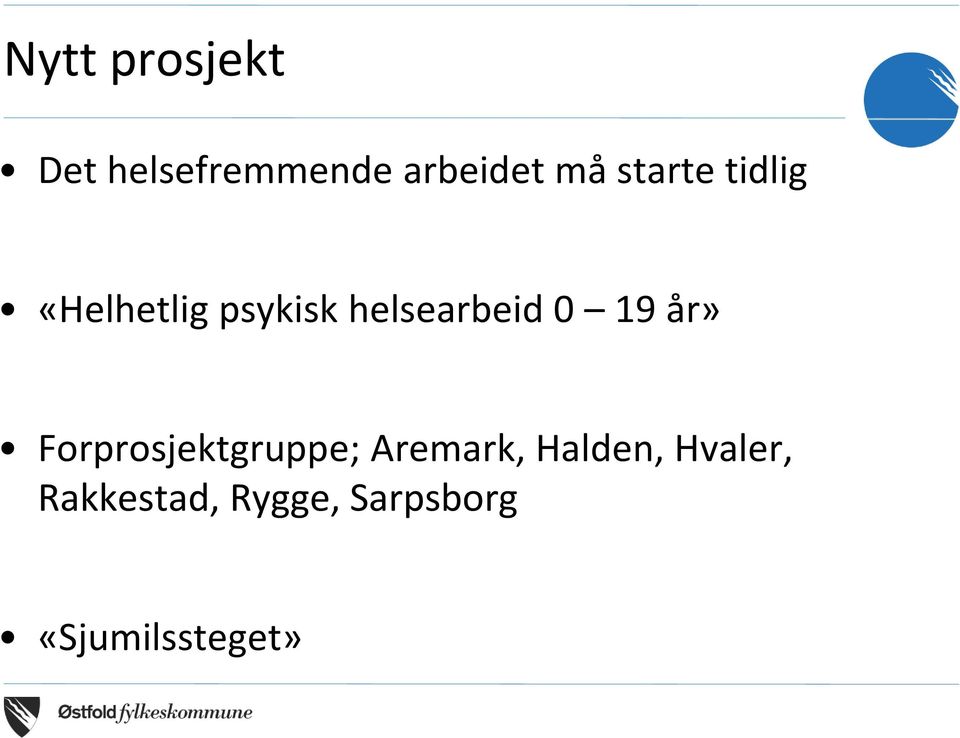 19 år» Forprosjektgruppe; Aremark, Halden,