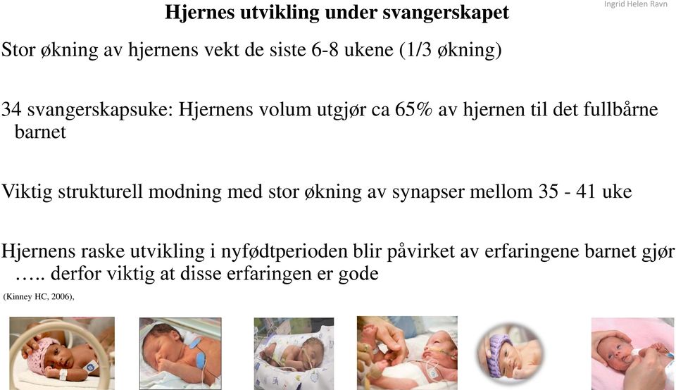 strukturell modning med stor økning av synapser mellom 35-41 uke Hjernens raske utvikling i