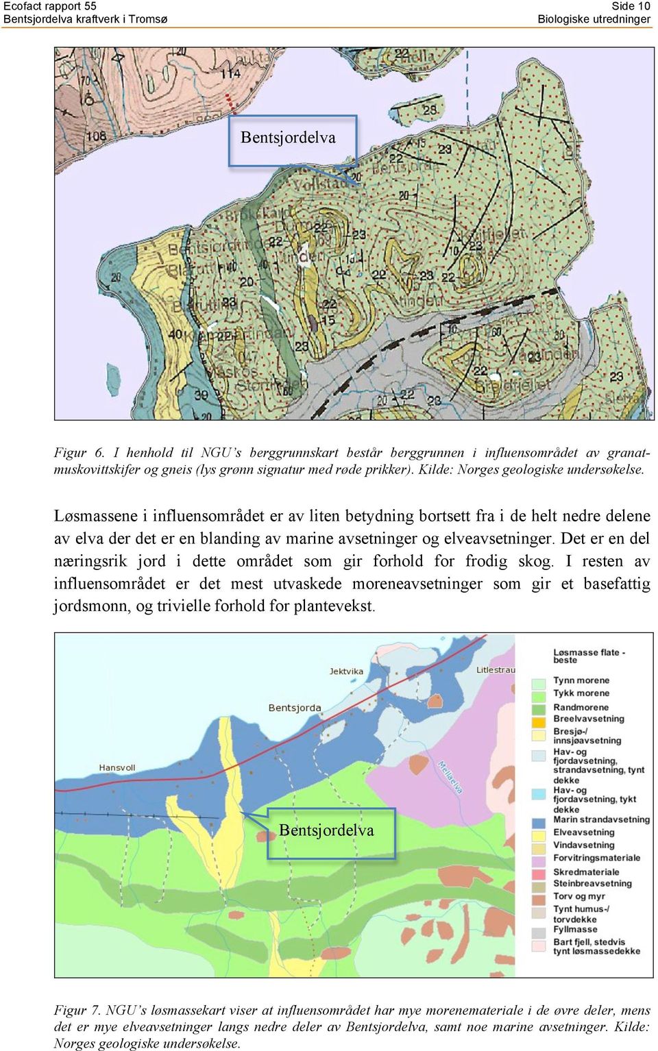 Det er en del næringsrik jord i dette området som gir forhold for frodig skog.