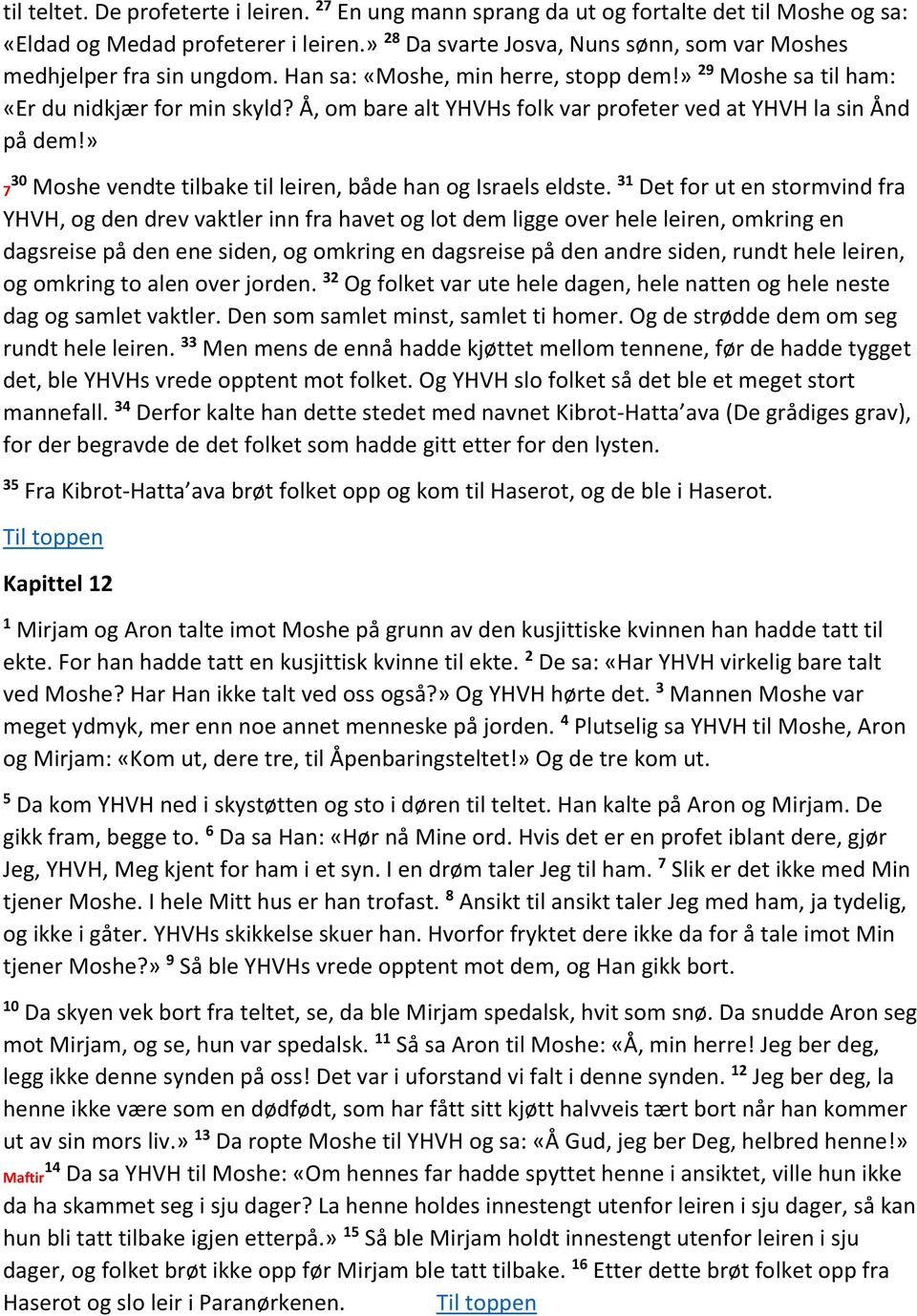 Å, om bare alt YHVHs folk var profeter ved at YHVH la sin Ånd på dem!» 7 30 Moshe vendte tilbake til leiren, både han og Israels eldste.