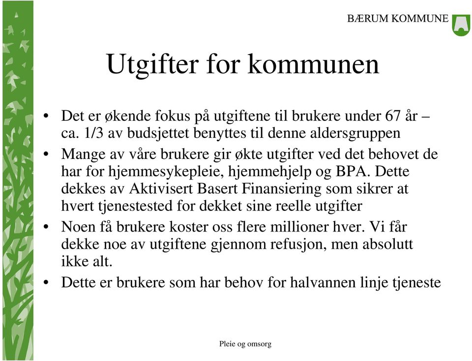 hjemmesykepleie, hjemmehjelp og BPA.