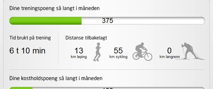 Gamification vil si at man bruker grunnleggende elementer som gjør spill morsomme og engasjerende, på områder en vanligvis ikke forbinder med spill.