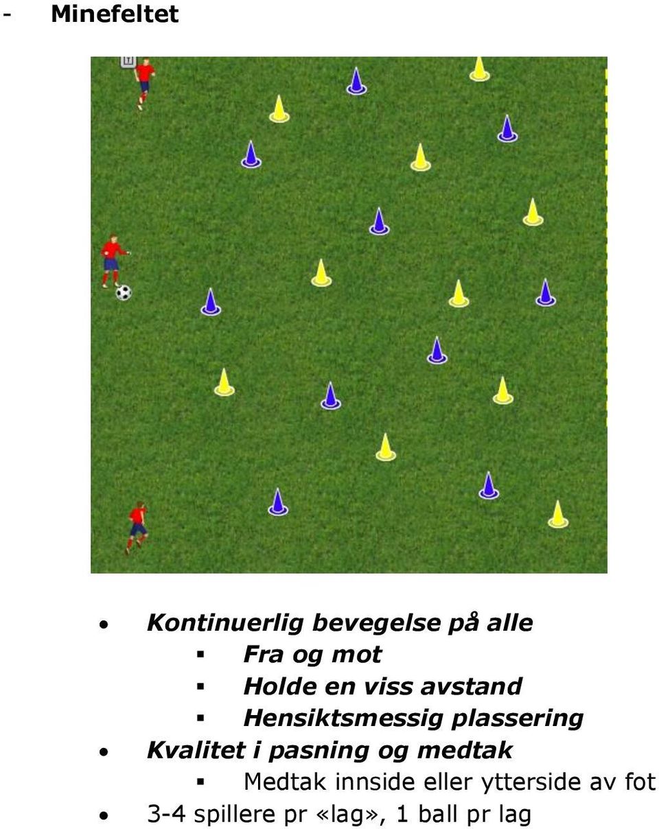 Kvalitet i pasning og medtak Medtak innside eller