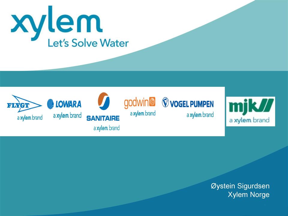 Xylem