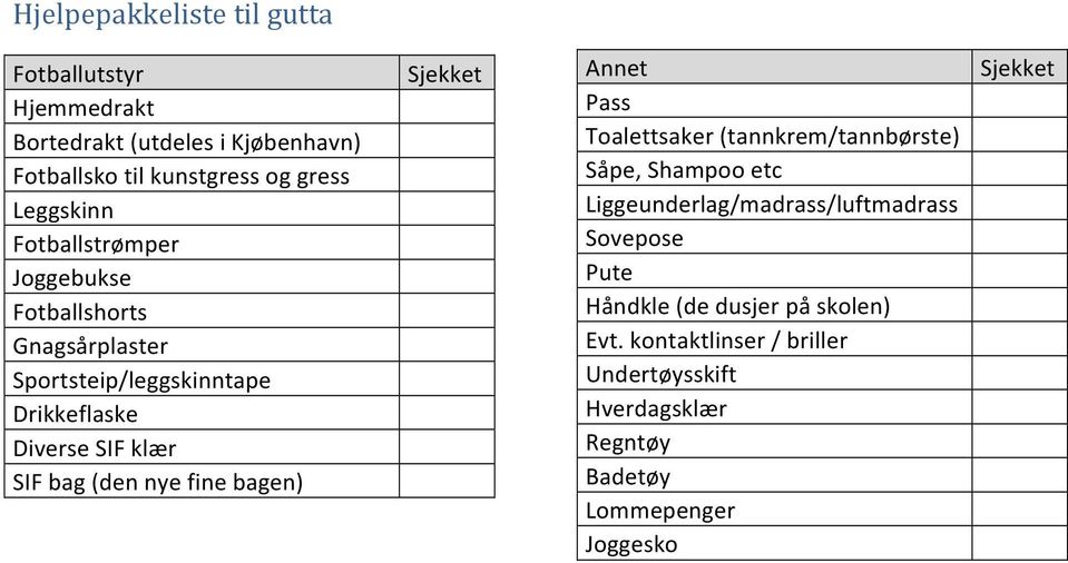 (den nye fine bagen) Sjekket Annet Pass Toalettsaker (tannkrem/tannbørste) Såpe, Shampoo etc Liggeunderlag/madrass/luftmadrass