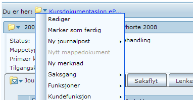 8 Tilgangskode/-gruppe Dersom du skal skjerme tekst i tittel, må du ha påført en tilgangskode. Husk at du alltid må ha en hjemmel for å kunne unnta fra offentlighet.