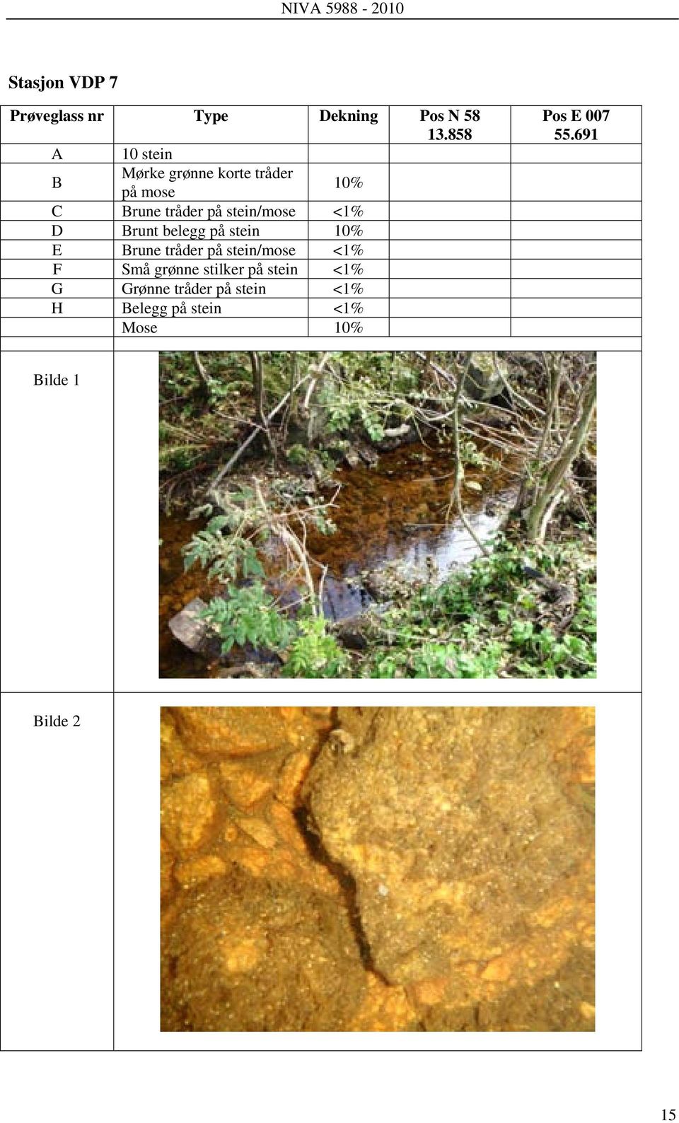 stein/mose <1% D Brunt belegg på stein 10% E Brune tråder på stein/mose <1% F Små