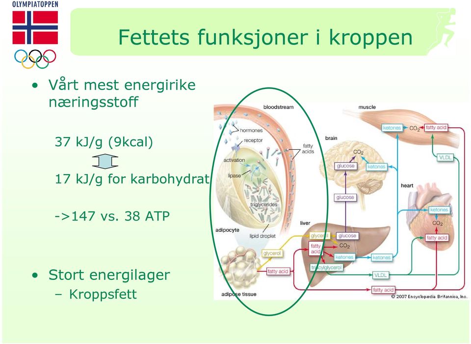 (9kcal) 17 kj/g for karbohydrat