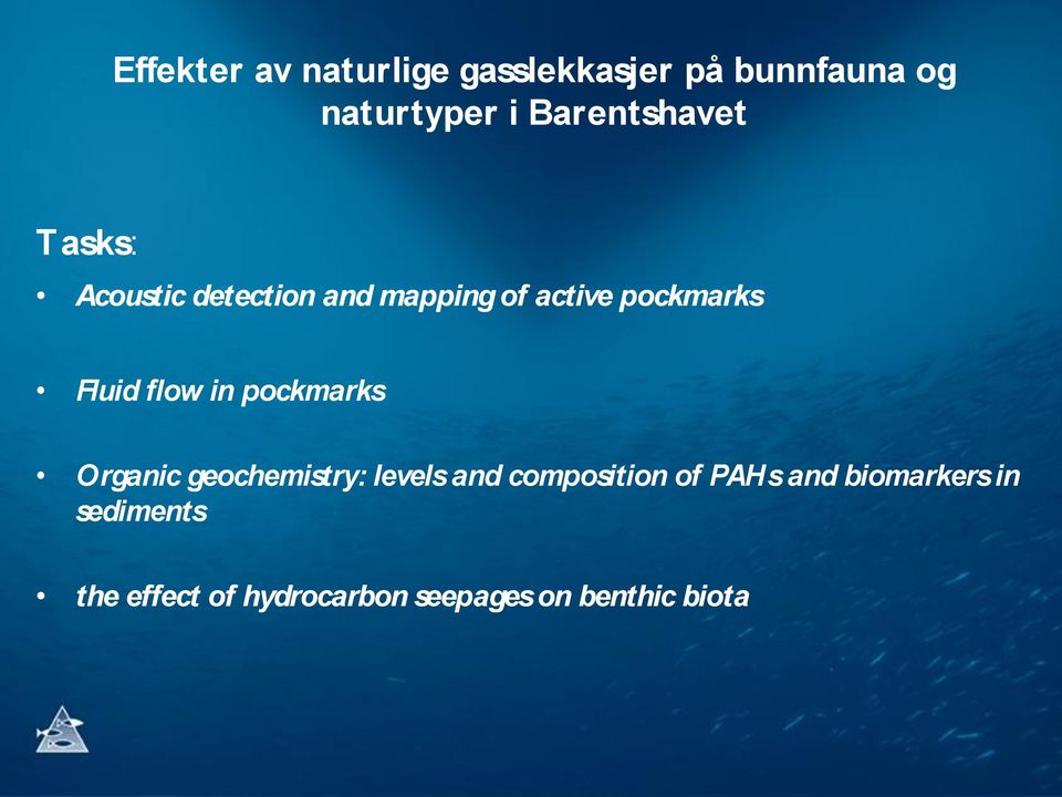 Fluid flow in pockmarks Organic geochemistry: levels and composition of