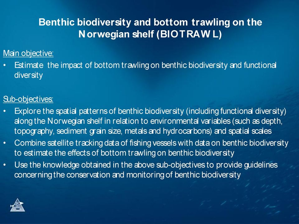 topography, sediment grain size, metals and hydrocarbons) and spatial scales Combine satellite tracking data of fishing vessels with data on benthic biodiversity to estimate the