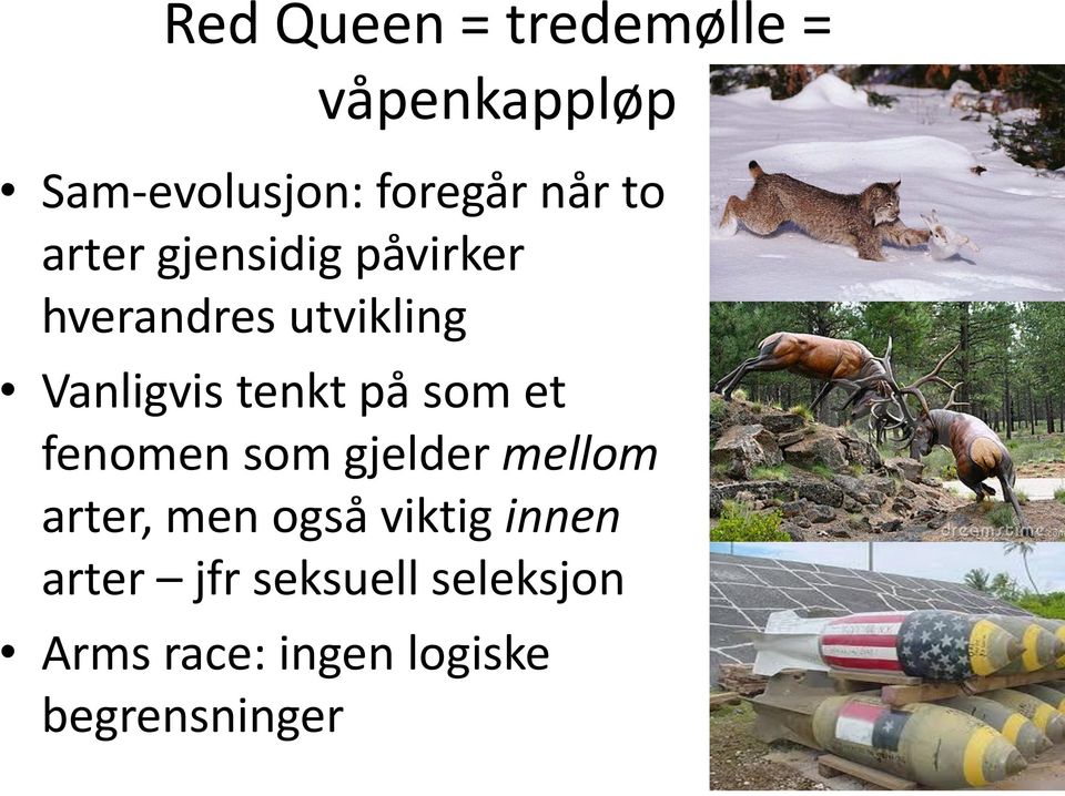 på som et fenomen som gjelder mellom arter, men også viktig innen