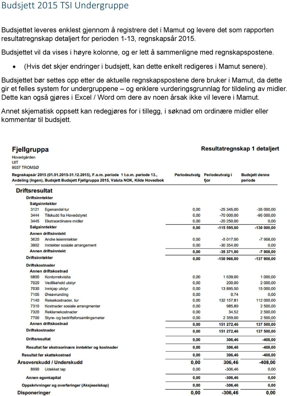 Budsjettet bør settes opp etter de aktuelle regnskapspostene dere bruker i Mamut, da dette gir et felles system for undergruppene og enklere vurderingsgrunnlag for tildeling av midler.