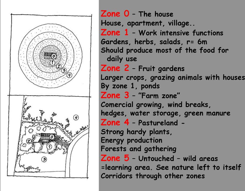 gardens Larger crops, grazing animals with houses By zone 1, ponds Zone 3 Farm zone Comercial growing, wind breaks, hedges,