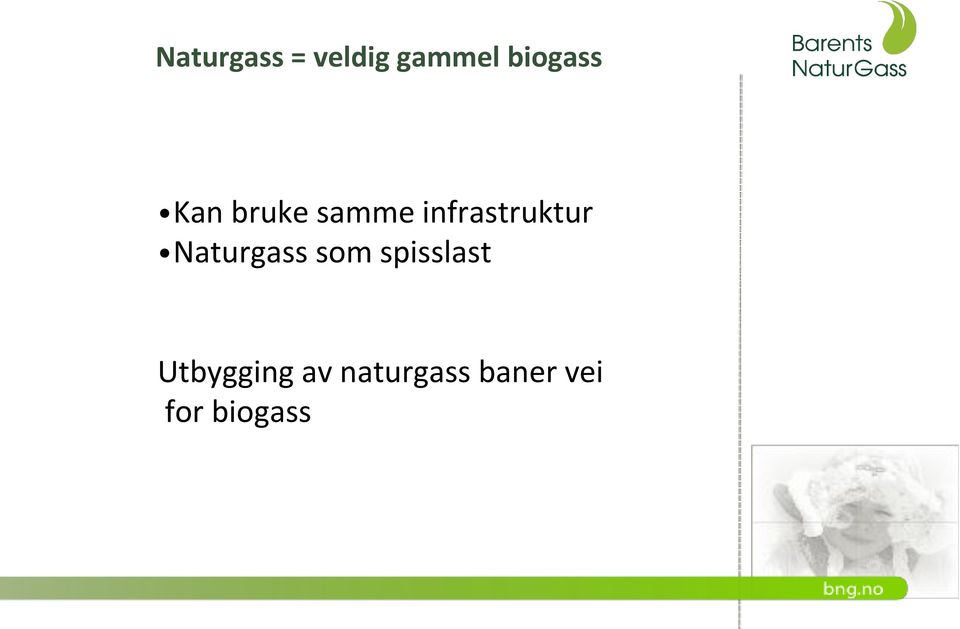 infrastruktur Naturgass som