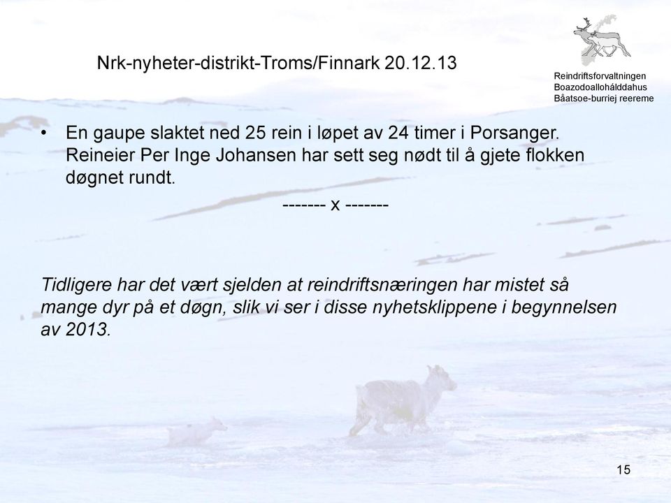 Reineier Per Inge Johansen har sett seg nødt til å gjete flokken døgnet rundt.