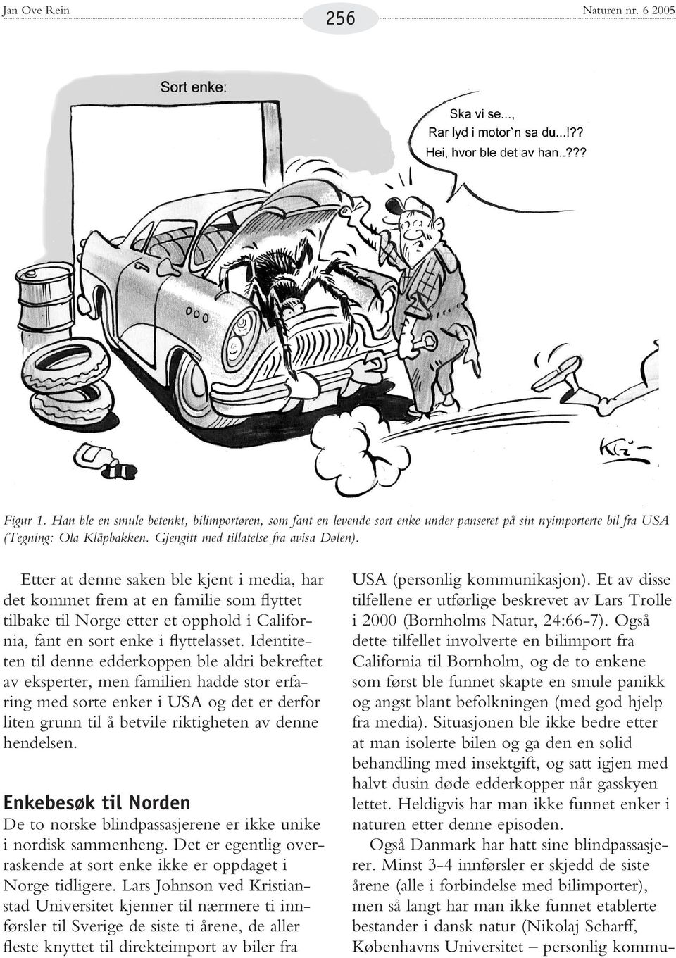 Etter at denne saken ble kjent i media, har det kommet frem at en familie som flyttet tilbake til Norge etter et opphold i California, fant en sort enke i flyttelasset.