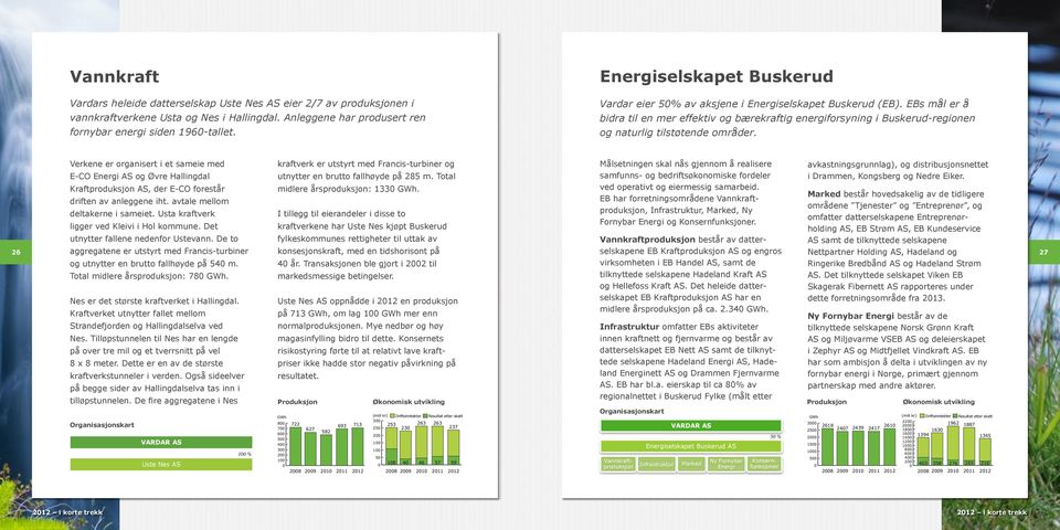 EBs mål er å bidra til en mer effektiv og bærekraftig energiforsyning i Buskerud-regionen og naturlig tilstøtende områder.