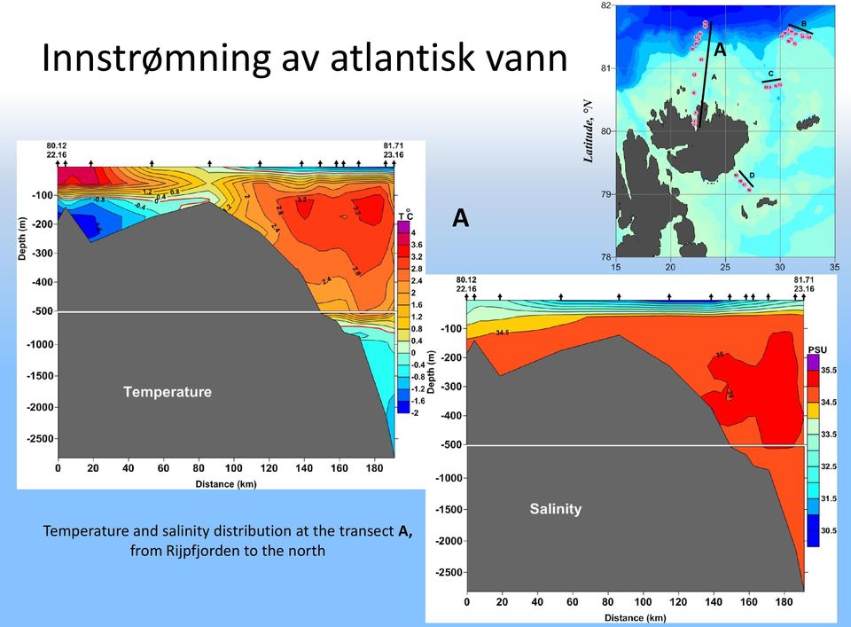 distribution at the transect