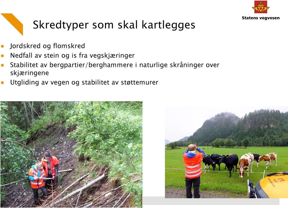 bergpartier/berghammere i naturlige skråninger over