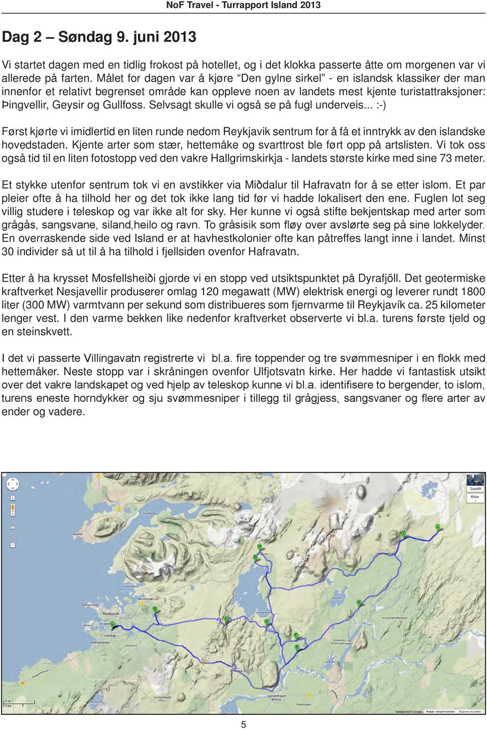 Gullfoss. Selvsagt skulle vi også se på fugl underveis... :-) Først kjørte vi imidlertid en liten runde nedom Reykjavik sentrum for å få et inntrykk av den islandske hovedstaden.