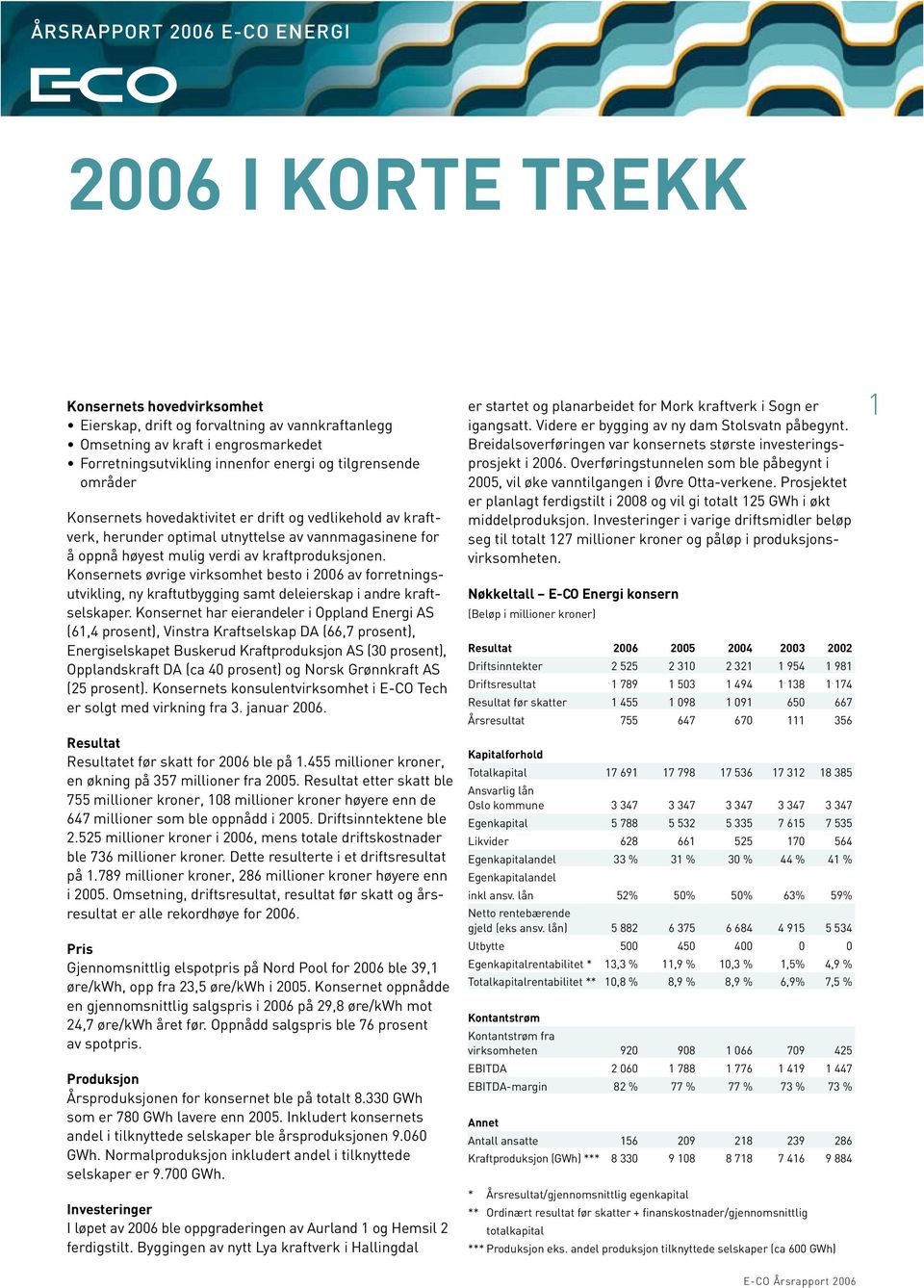 Konsernets øvrige virksomhet besto i 2006 av forretningsutvikling, ny kraftutbygging samt deleierskap i andre kraftselskaper.