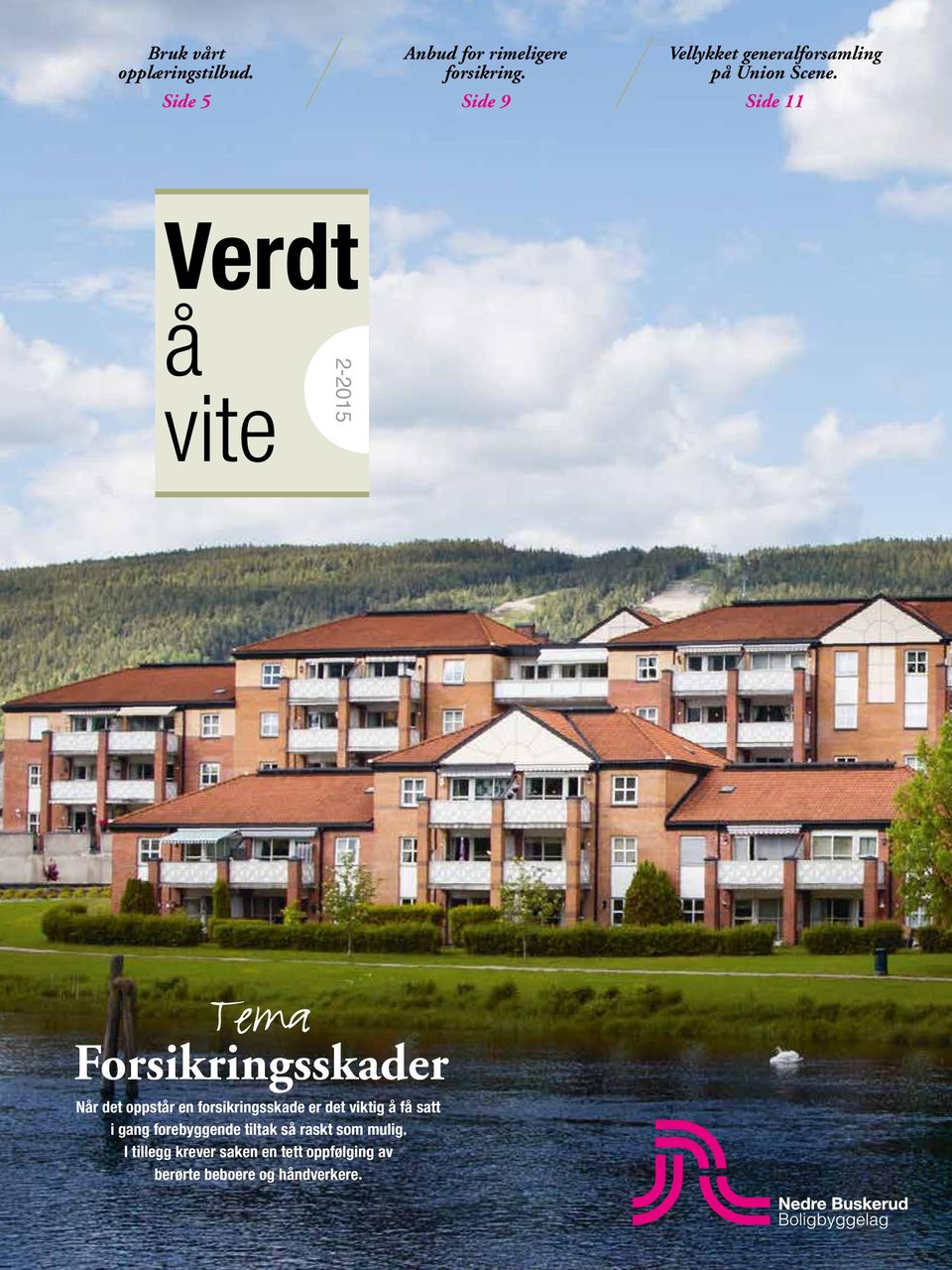 Side 11 Verdt å vite 2-2015 Tema Forsikringsskader Når det oppstår en forsikringsskade