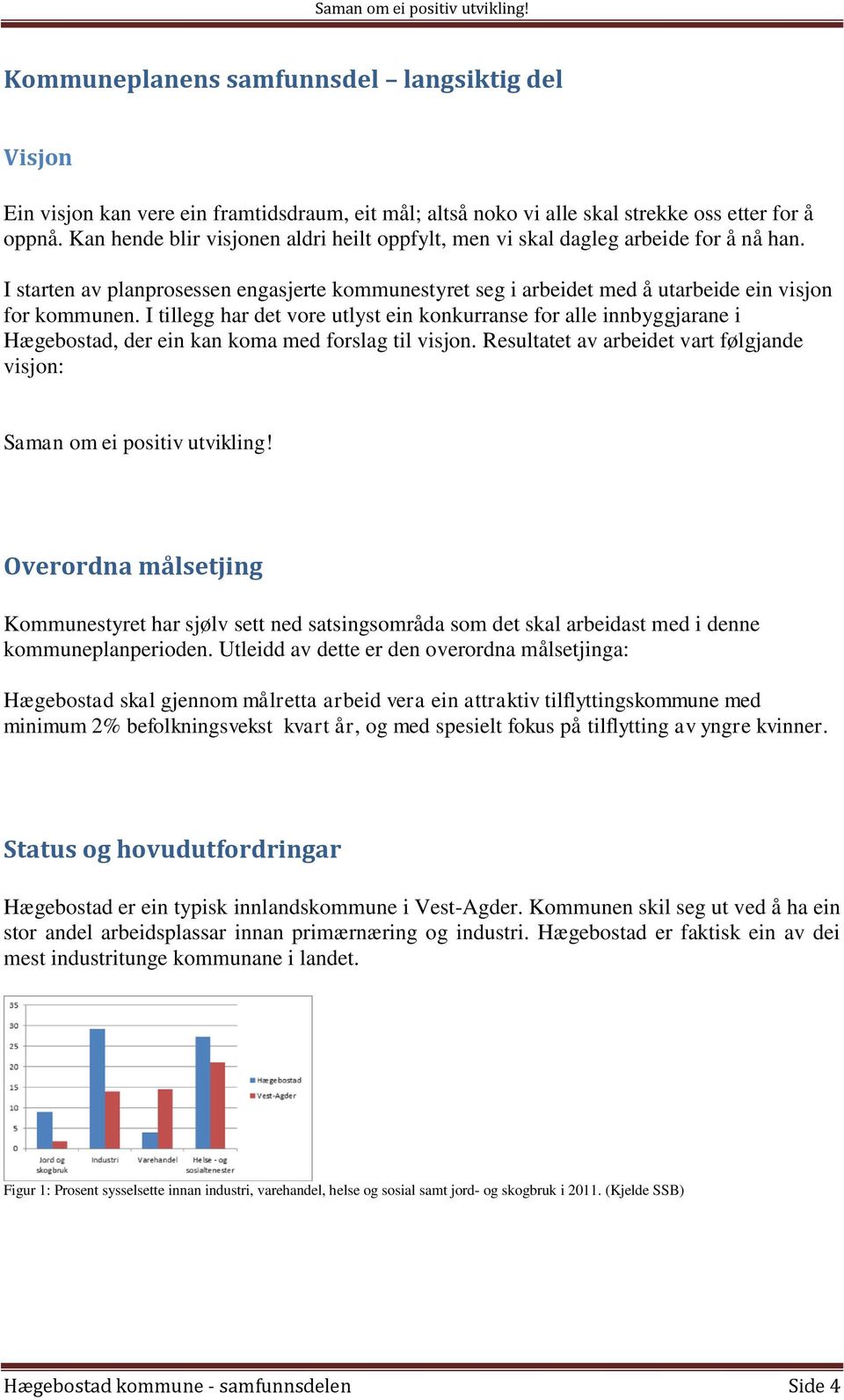 I tillegg har det vore utlyst ein konkurranse for alle innbyggjarane i Hægebostad, der ein kan koma med forslag til visjon. Resultatet av arbeidet vart følgjande visjon: Saman om ei positiv utvikling!