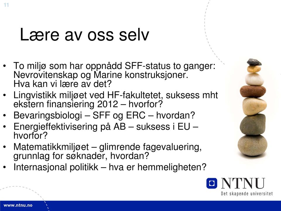 Lingvistikk miljøet ved HF-fakultetet, suksess mht ekstern finansiering 2012 hvorfor?