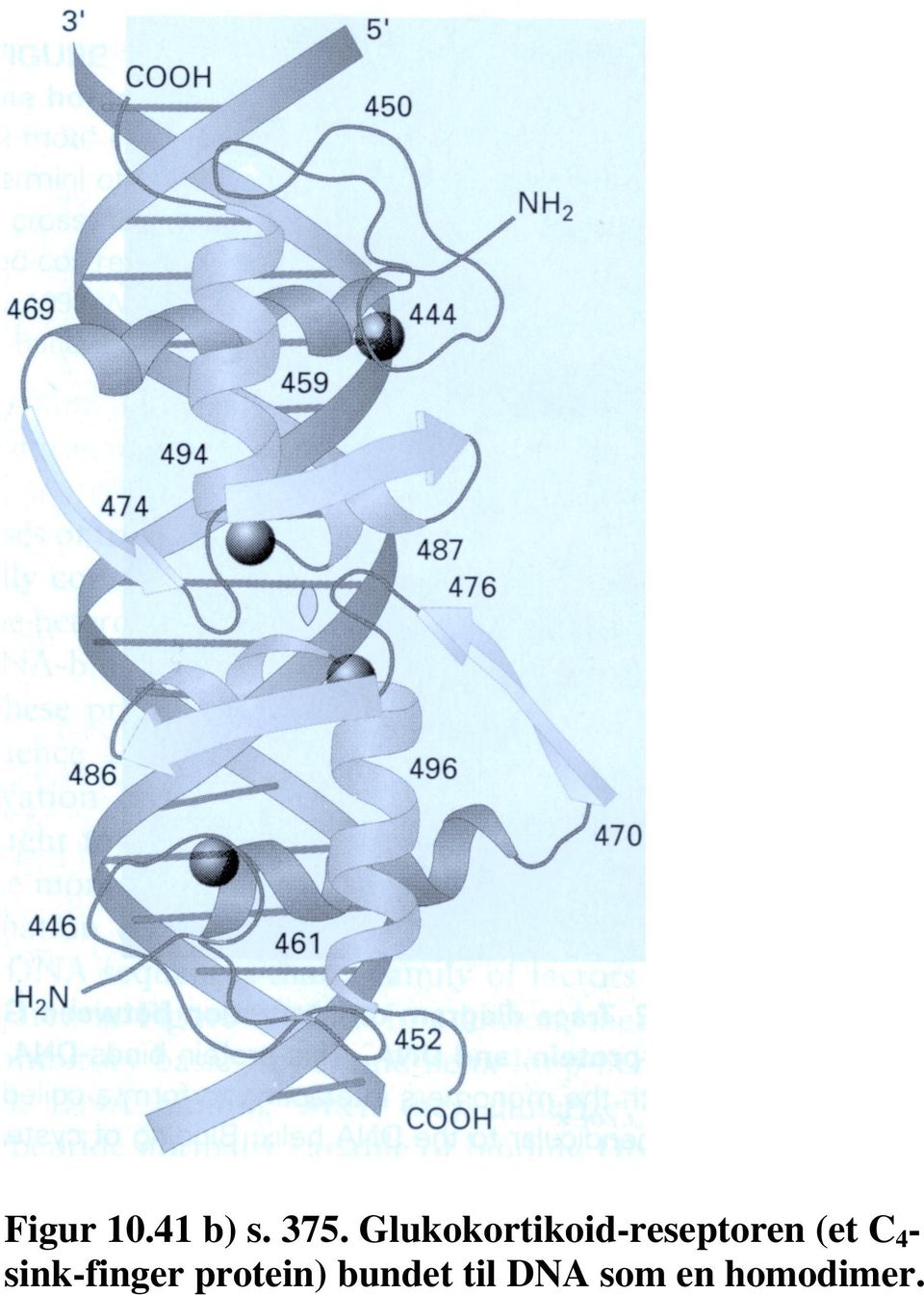 (et C4sink-finger protein)