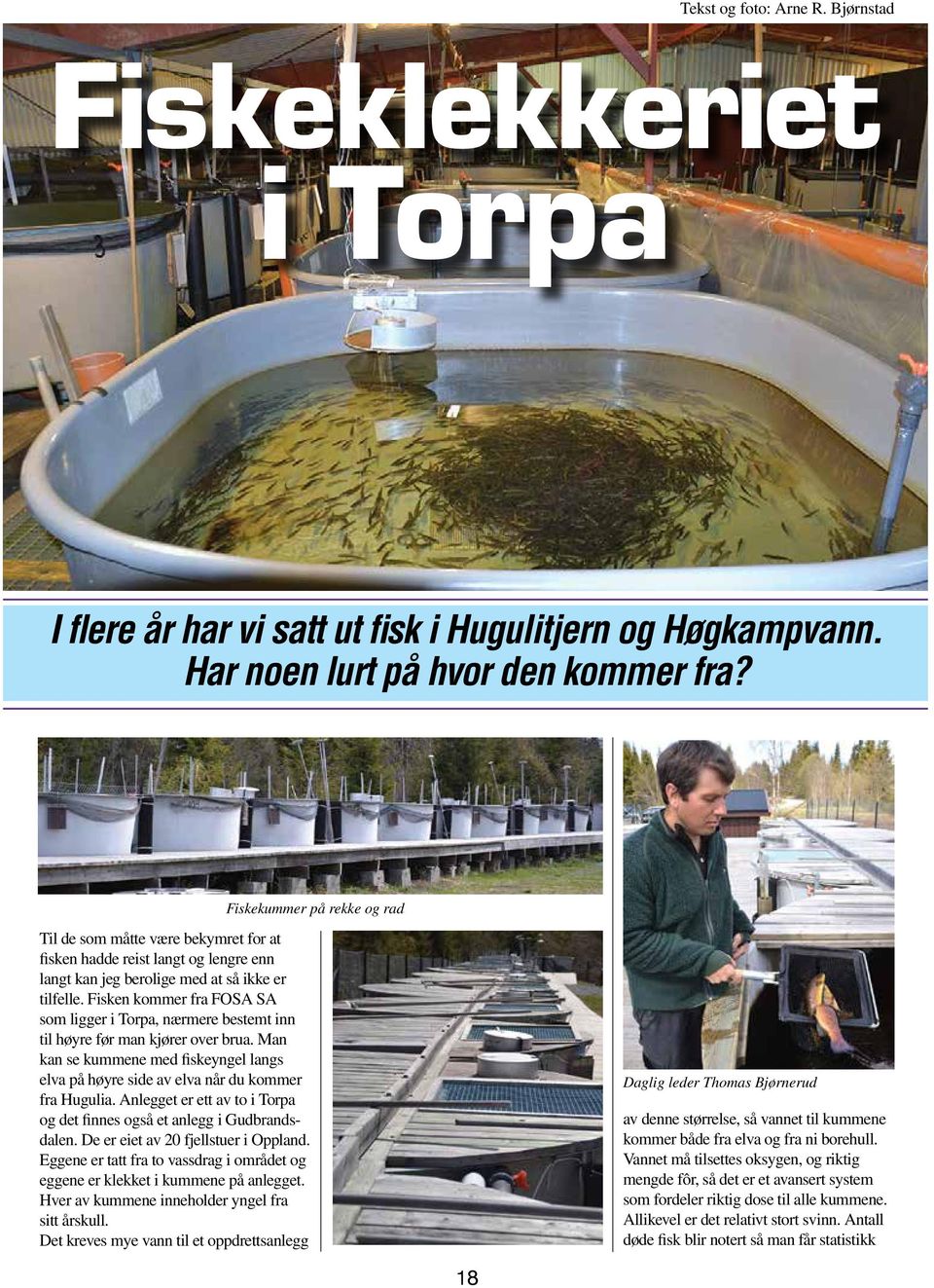 Fisken kommer fra FOSA SA som ligger i Torpa, nærmere bestemt inn til høyre før man kjører over brua. Man kan se kummene med fiskeyngel langs elva på høyre side av elva når du kommer fra Hugulia.