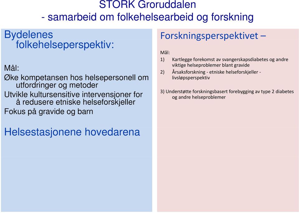 Fokus på gravide og barn Mål: 1) Kartlegge forekomst av svangerskapsdiabetes og andre viktige helseproblemer blant gravide 2) Årsaksforskning