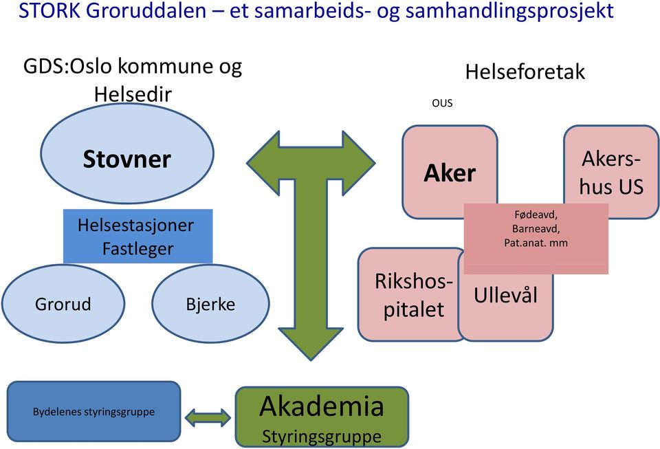 Fastleger Bjerke Aker Rikshospitalet Fødeavd, Barneavd, Pat.anat.