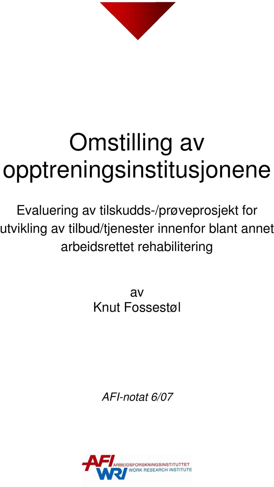 utvikling av tilbud/tjenester innenfor blant