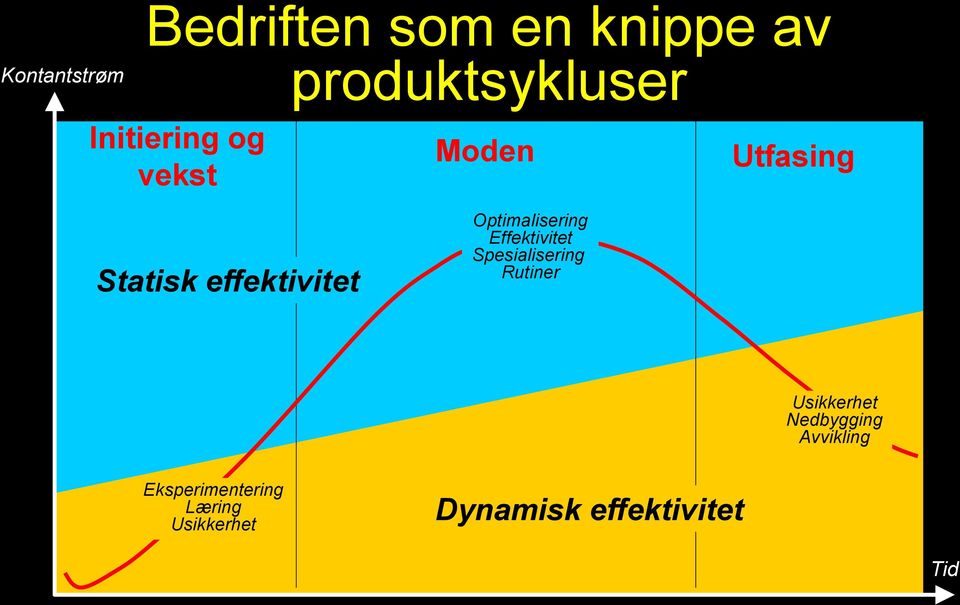 Effektivitet Spesialisering Rutiner Utfasing Usikkerhet