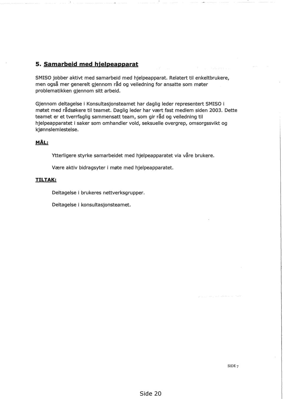 Gjennom deltagelse i Konsultasjonsteamet har daglig leder representert SMISO i møtet med rådsøkere til teamet. Daglig leder har vært fast medlem siden 2003.