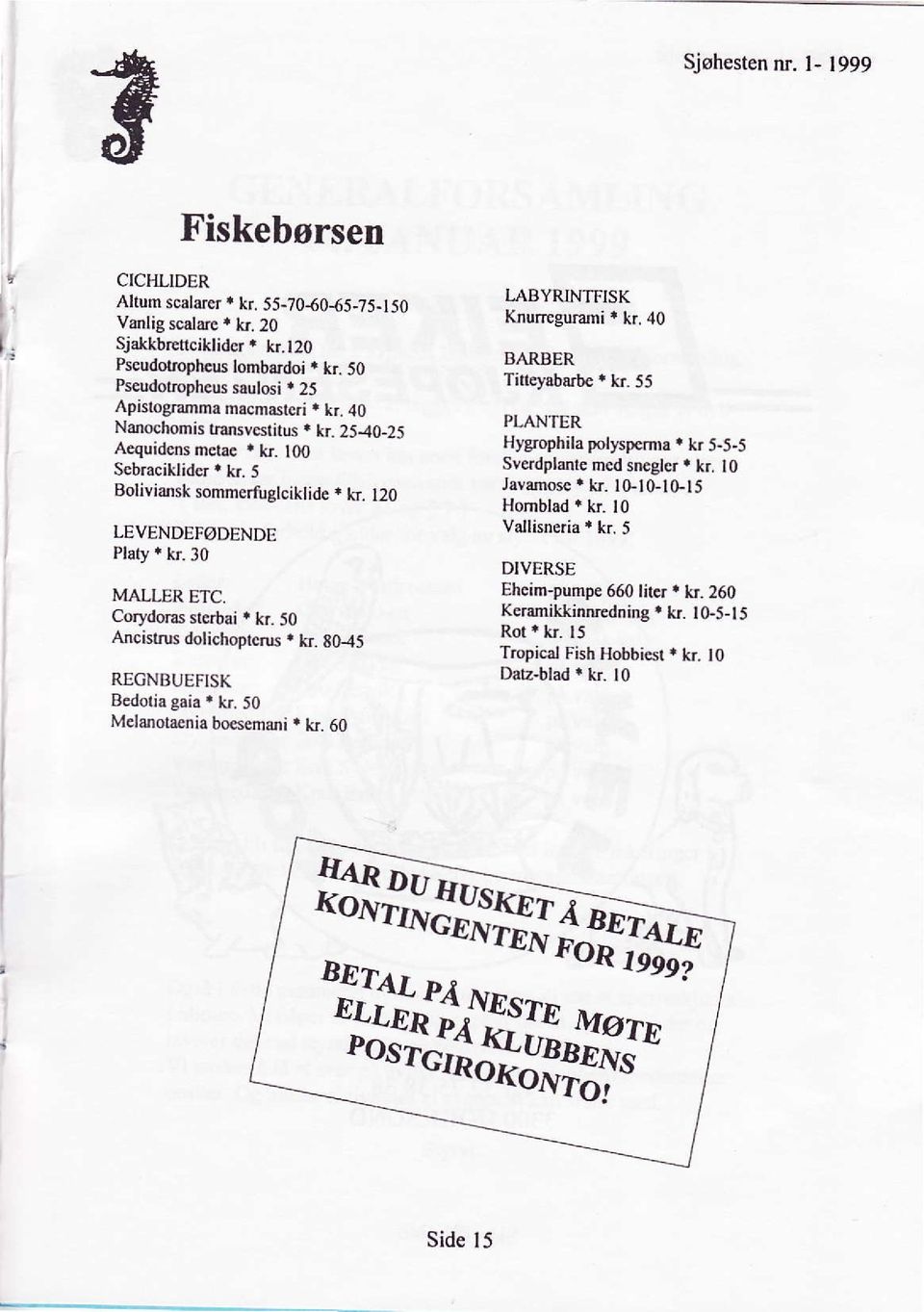 k 100 Sebraciklider ' k 5 Boliviansk sommertuglciklide * kr. 120 LEVENDEFøDENDE Platy * kr. 30 MALLER ETC. Corydoras sterbai r kr. 50 Ancistrus dolichoptcrus r k. 80-45 REGNBUEFISK Bedolia gaia. k. 50 Melanolsenia bo semsni.