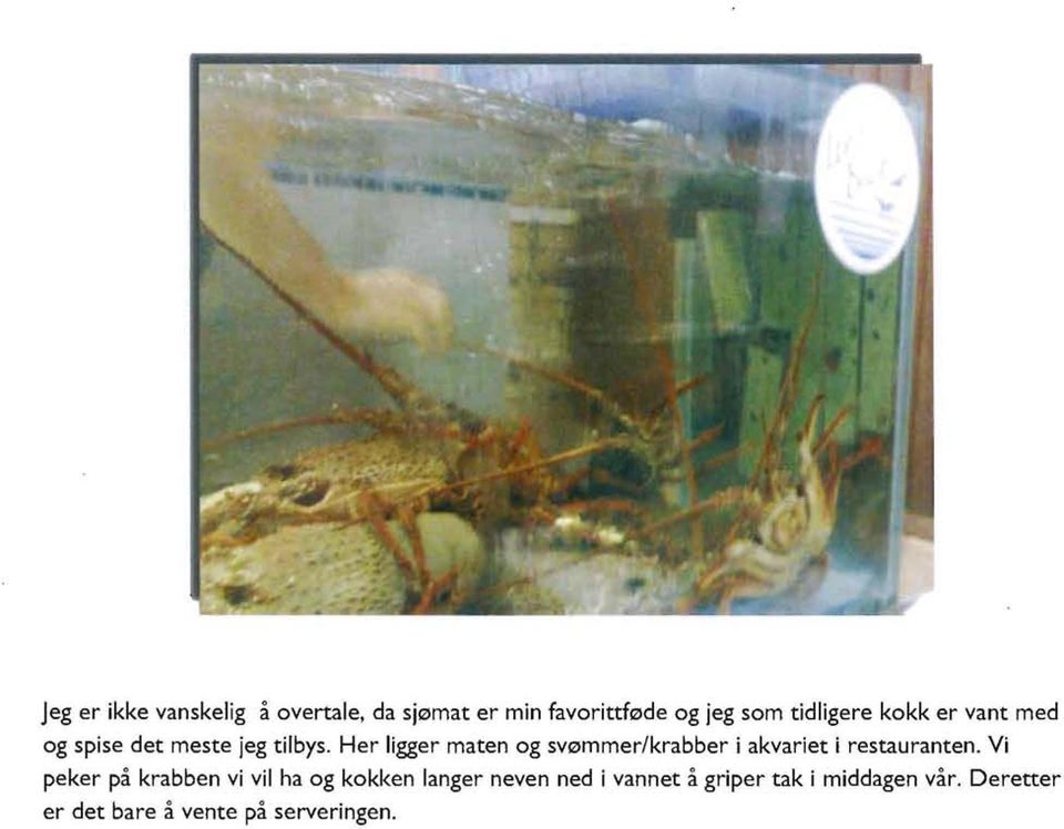 Her ligger maten og svømmer/krabber i akvariet i restauranten.