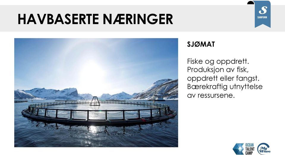 Produksjon av fisk, oppdrett