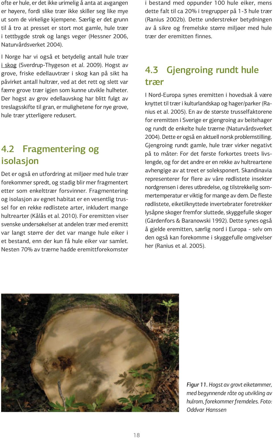 I Norge har vi også et betydelig antall hule trær i skog (Sverdrup-Thygeson et al. 2009).