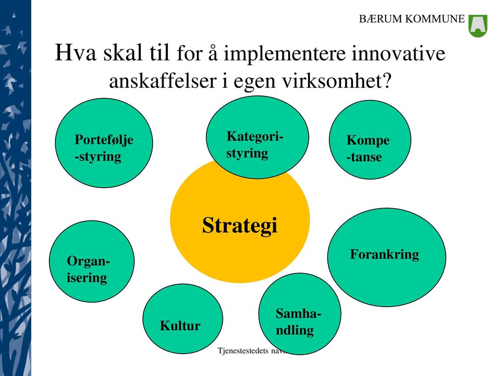 Portefølje -styring Kategoristyring Kompe