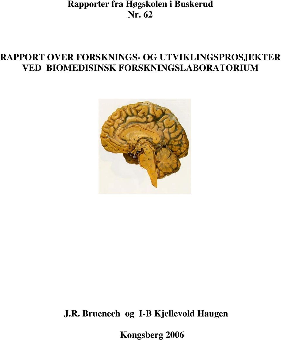 UTVIKLINGSPROSJEKTER VED BIOMEDISINSK