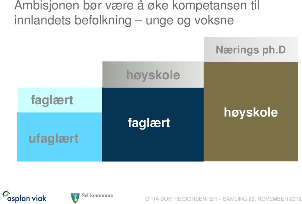 befolkning unge og voksne