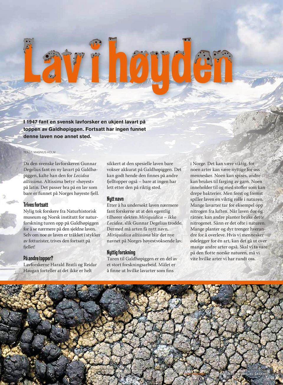 Det passer bra på en lav som bare er funnet på Norges høyeste fjell.