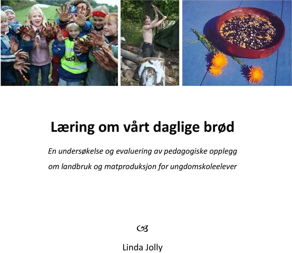 pedagogiske opplegg om landbruk og