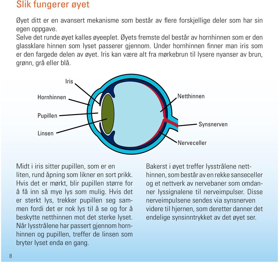 Iris kan være alt fra mørkebrun til lysere nyanser av brun, grønn, grå eller blå.