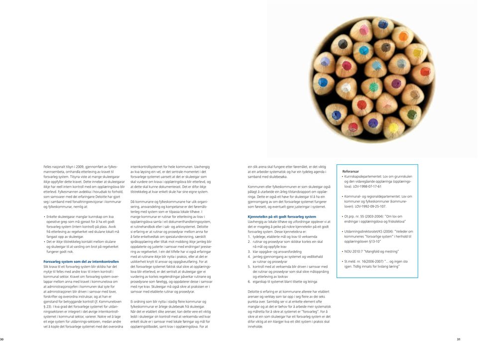 Fylkesmannen avdekka i hovudsak to forhold, som samsvarer med dei erfaringane Deloitte har gjort seg i samband med forvaltningsrevisjonar i kommunar og fylkeskommunar, nemlig at: Enkelte skuleeigarar