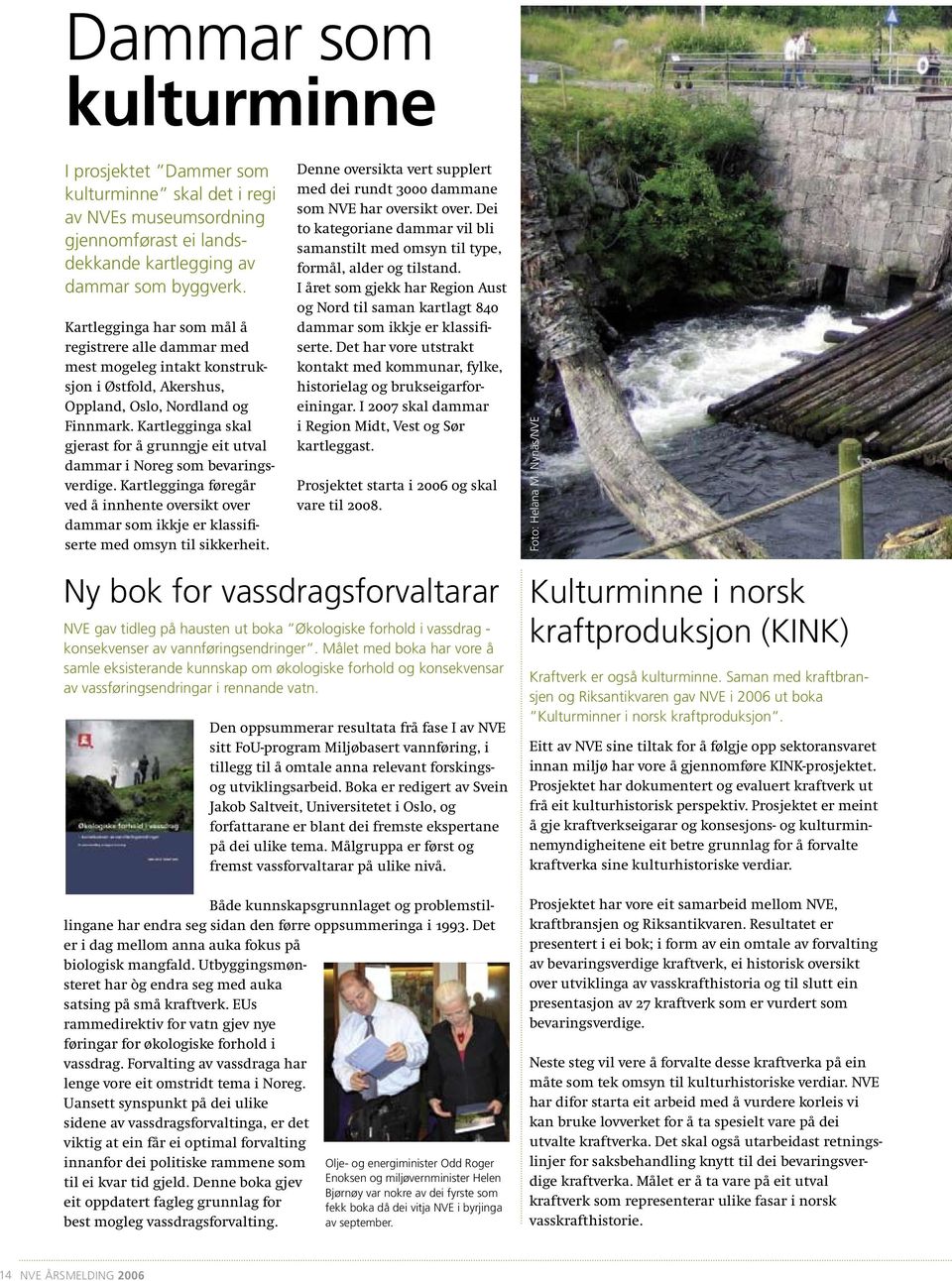 Kartlegginga skal gjerast for å grunngje eit utval dammar i Noreg som bevaringsverdige. Kartlegginga føregår ved å innhente oversikt over dammar som ikkje er klassifiserte med omsyn til sikkerheit.